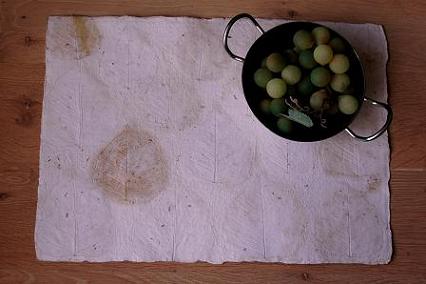 Indipaper - white acorn (white acorn)